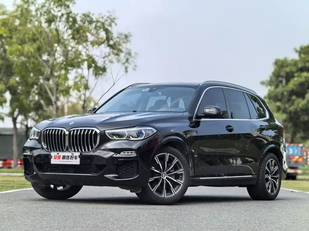 BMW X5 (Import) 2019