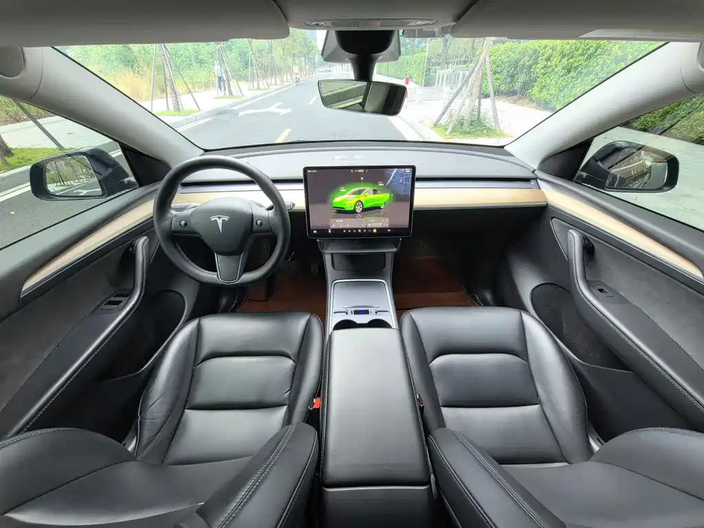 Tesla Model Y — миниатюра 18