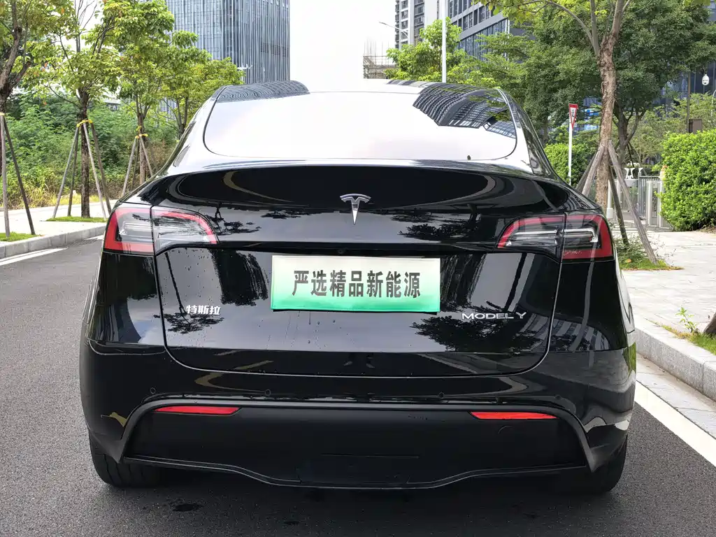 Tesla Model Y — миниатюра 4