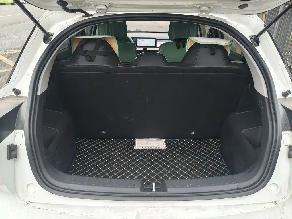 GEELY GEOMETRY E FIREFLY