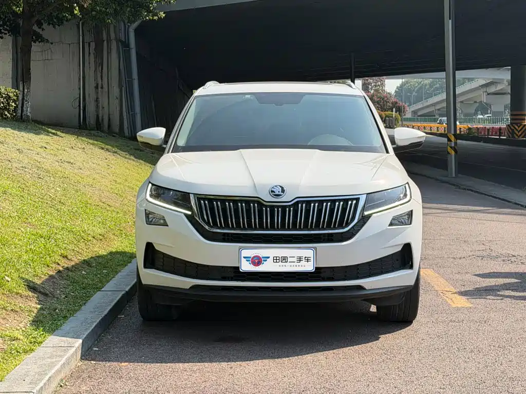Skoda Kodiaq GT TSI330 2WD Luxury Edition China V, фото 2