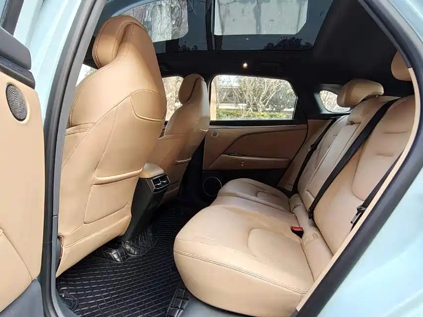 ARCFOX EXTREME FOX POLAR FOX ALPHA T5