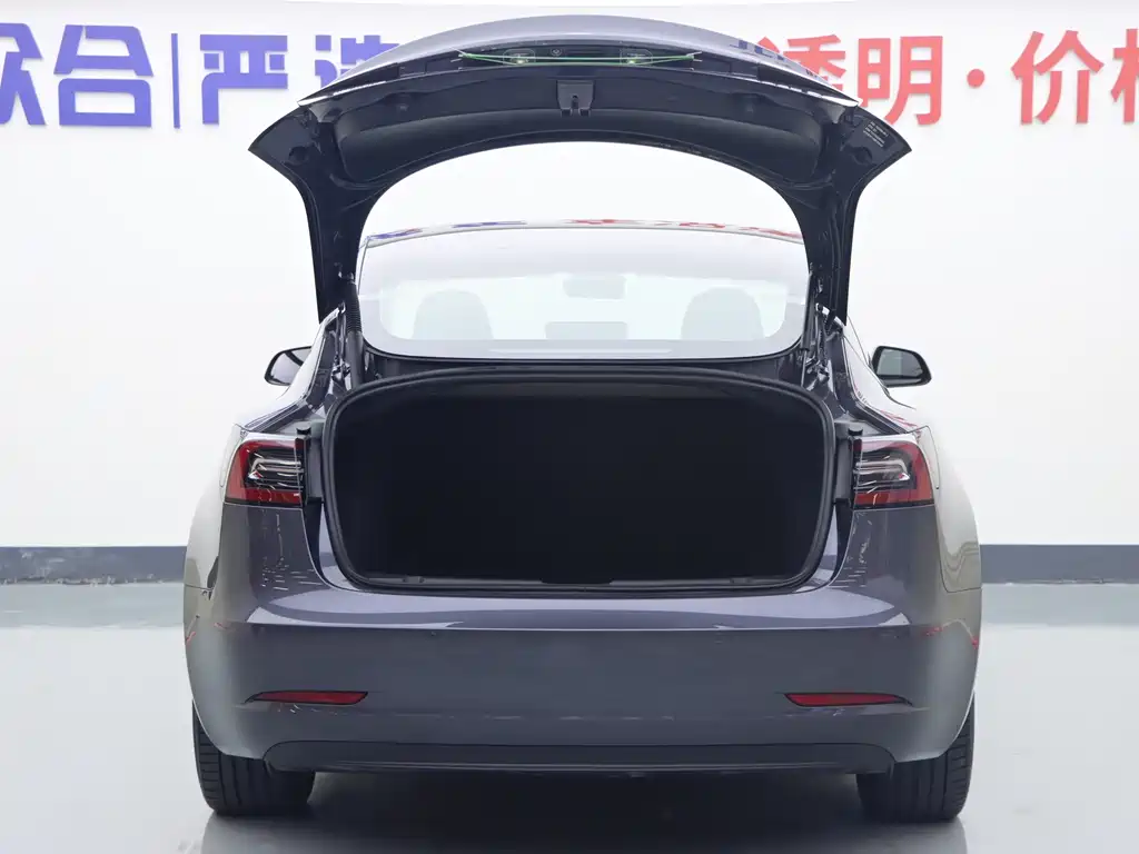 Tesla Model 3 — миниатюра 20