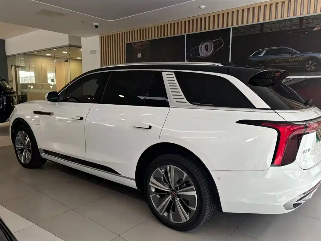 Hongqi E-HS9 2022 690km мест