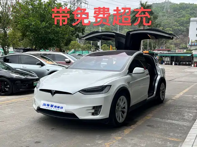 TESLA MODEL X 2017