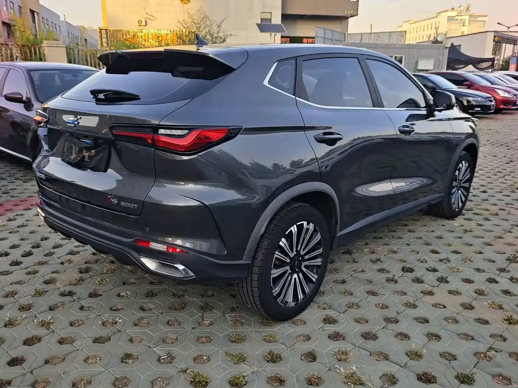 Oshan Oushang X5 — миниатюра 9