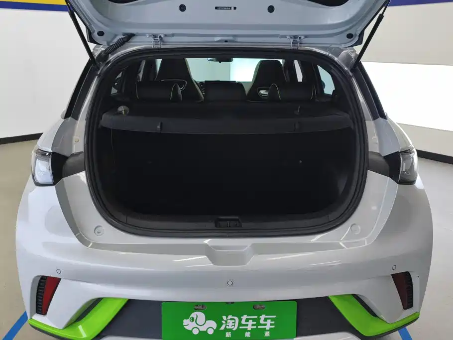 BYD Dolphin — миниатюра 4