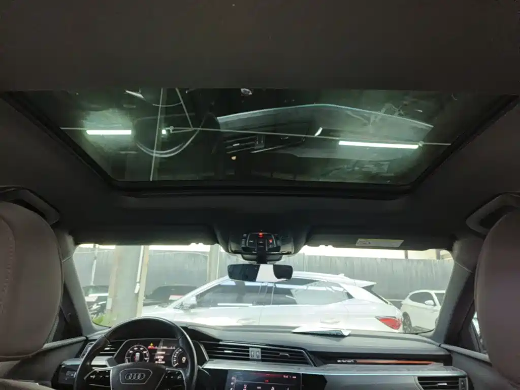Audi e-tron (Import) — миниатюра 18