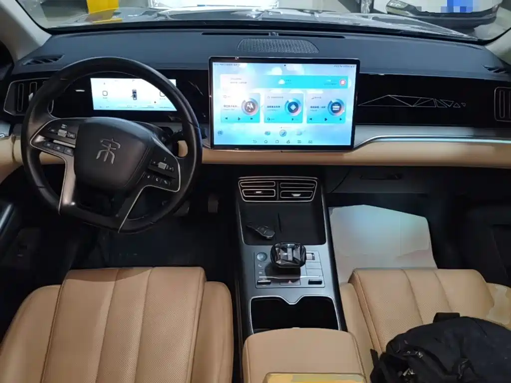 BYD Pro New Energy — миниатюра 10
