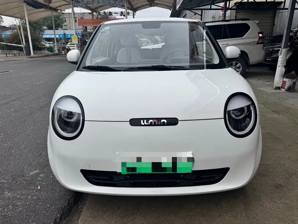 Qiyuan Lumin — миниатюра 2