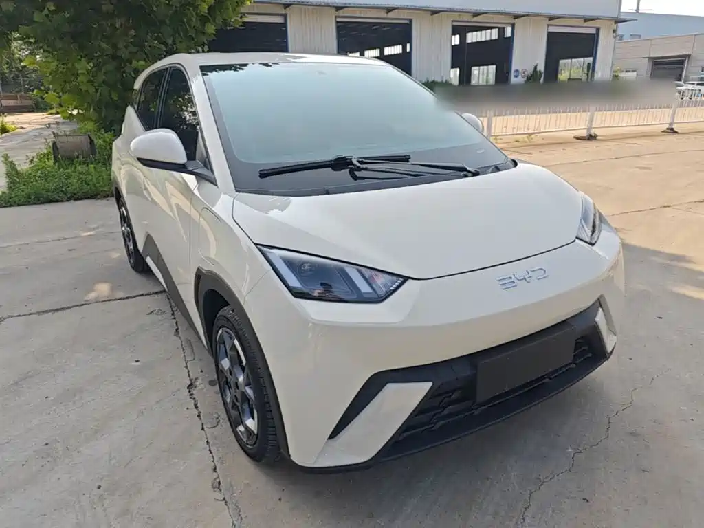BYD Seagull 2025 305km Freedom