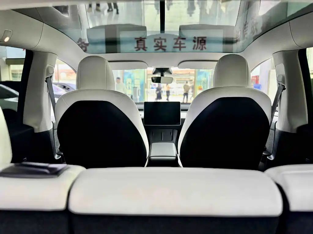 Tesla Model Y — миниатюра 8