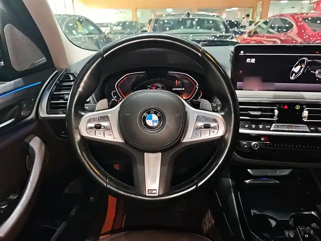 BMW X3 2023 xDrive30i Lead M