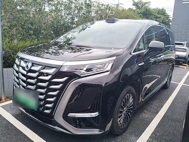 2025 Denza D9