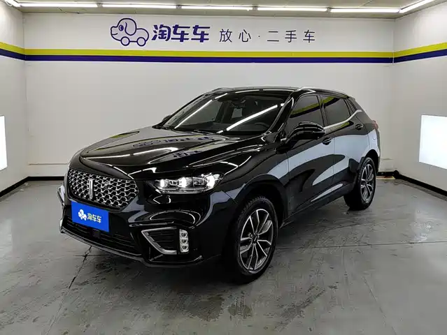 2021 Wey VV5