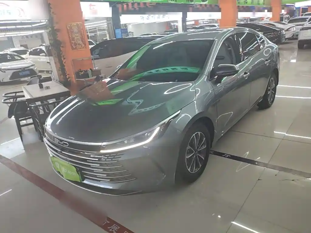 BYD Destroyer 05 2024 DM-i 55KM Luxury