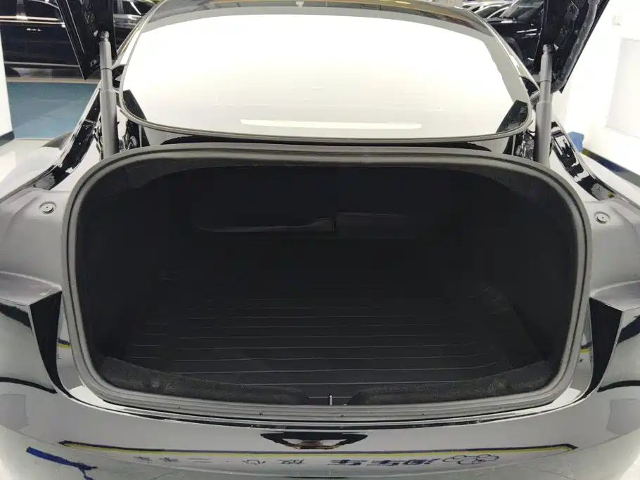 Tesla Model 3 — миниатюра 4