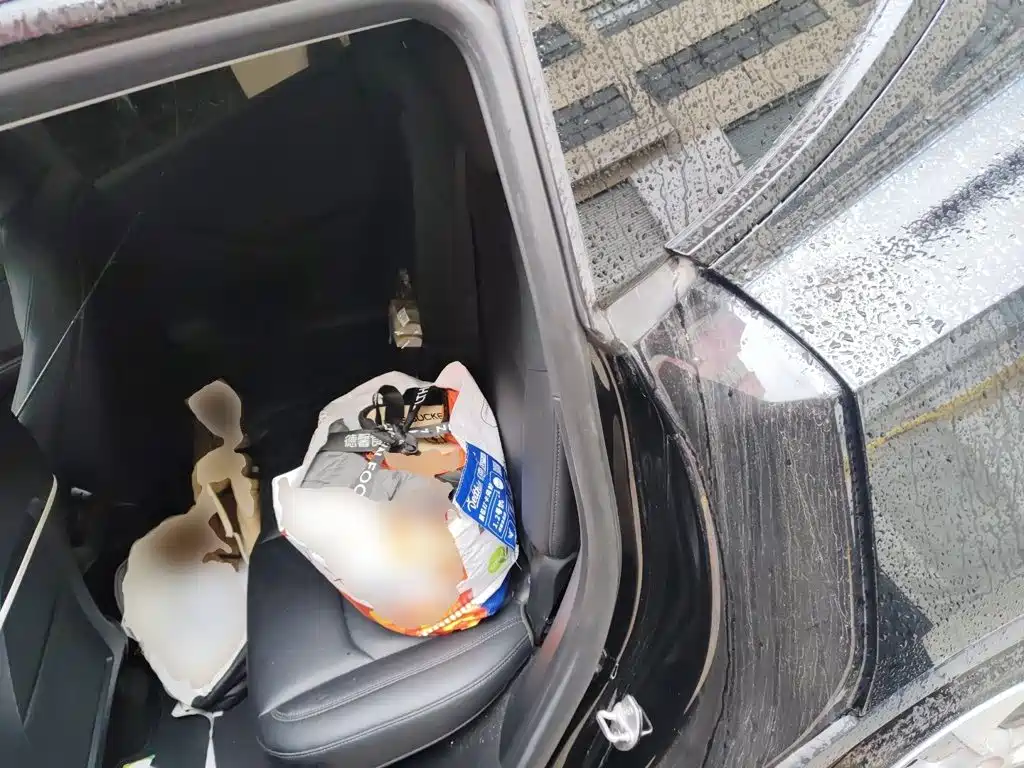 Tesla Model Y — миниатюра 18