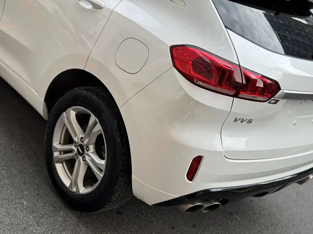 WEI PAI WEI BRAND VV5