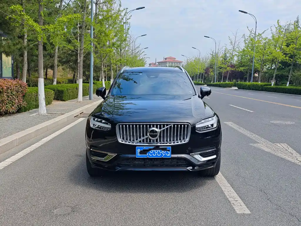 Volvo XC90 — миниатюра 3