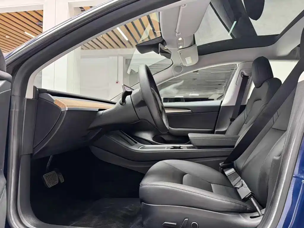 Tesla Model 3 2021 3D6