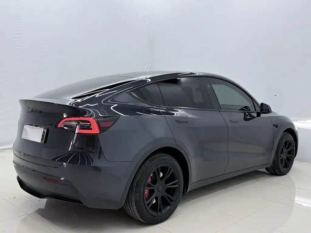 Tesla Model Y — миниатюра 12