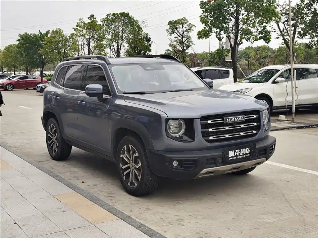HAVAL BIG DOG