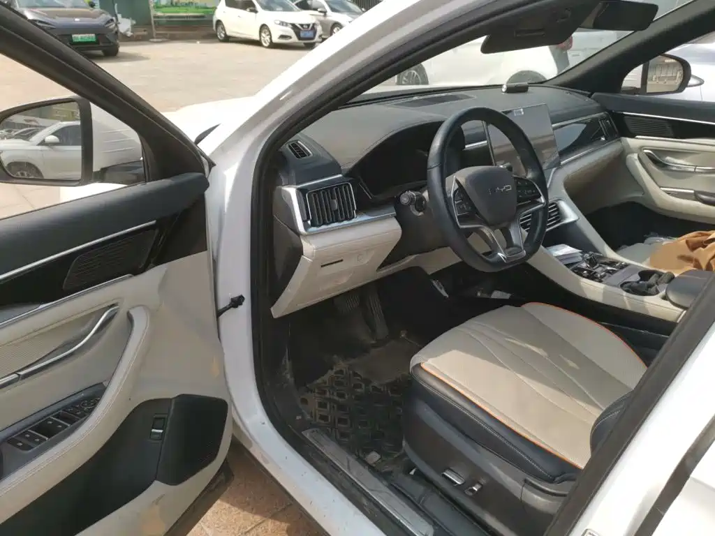 BYD PLUS New Energy — миниатюра 14