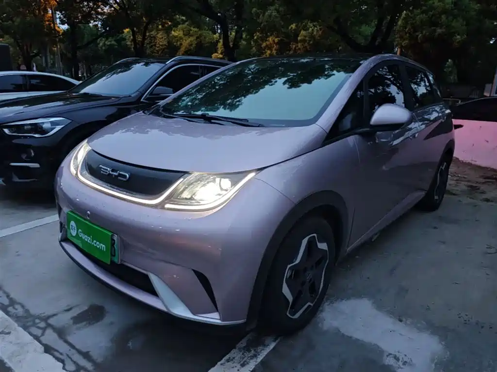 Byd Dolphin 2022