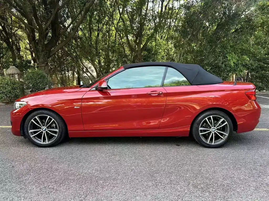 BMW 2 Series (Import) — миниатюра 9