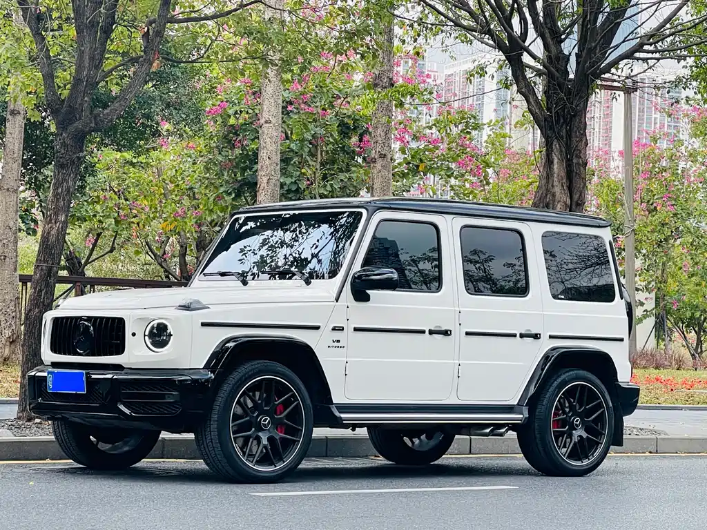 MERCEDES-BENZ G CLASS