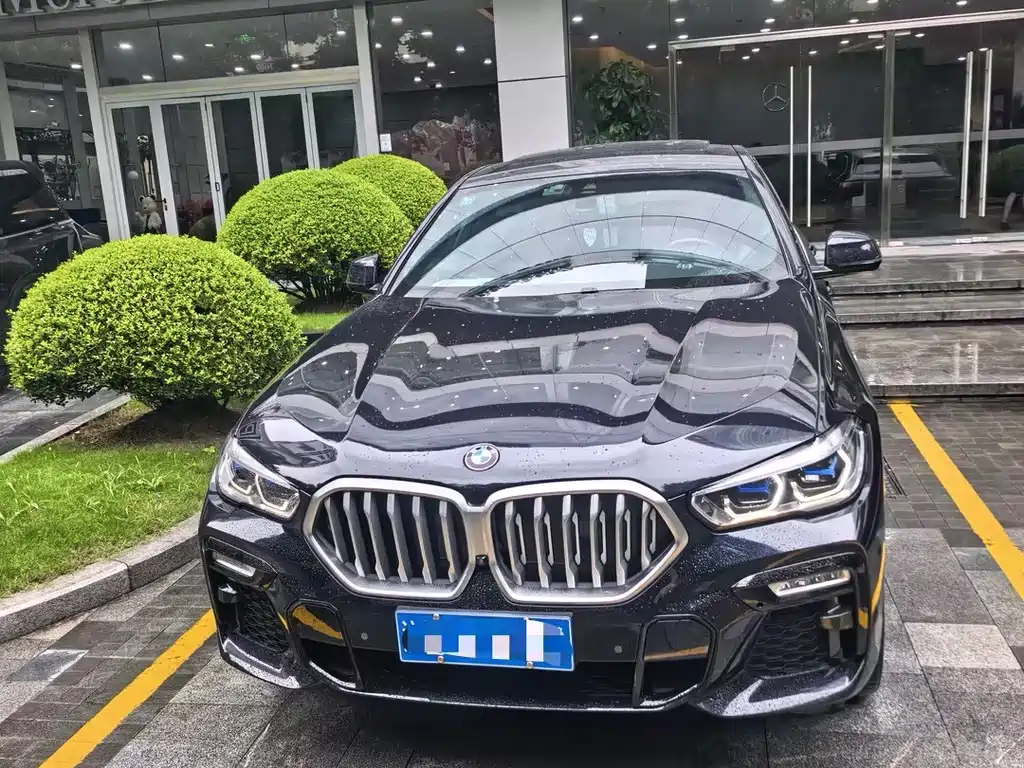 BMW X6 — миниатюра 4