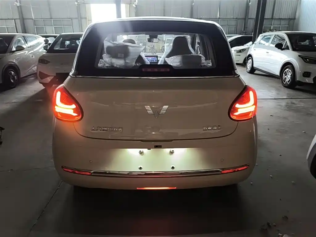 Wuling Binguo 2025 333km Enjoy