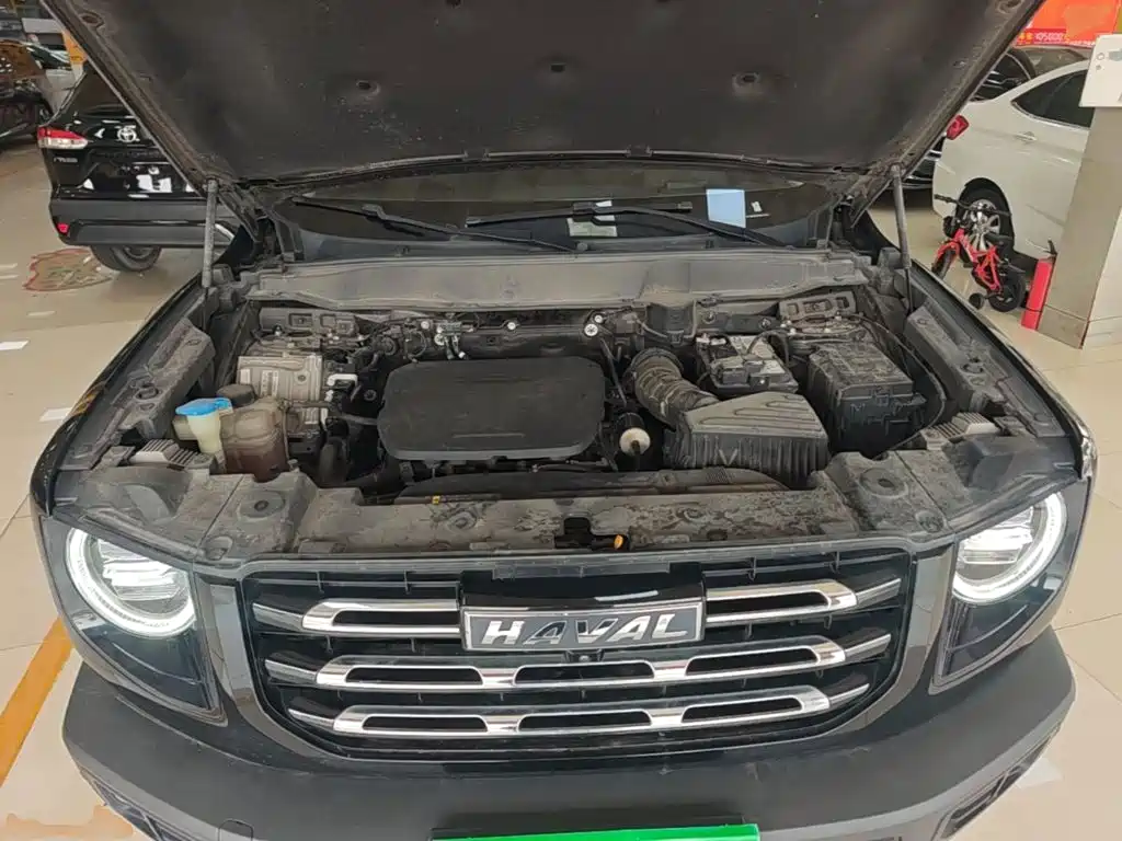 Haval Big Dog — миниатюра 20