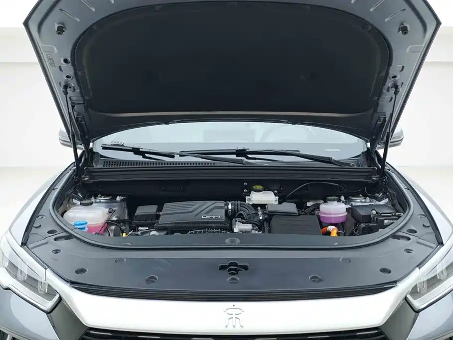 BYD SONGJIANG NEW ENERGY