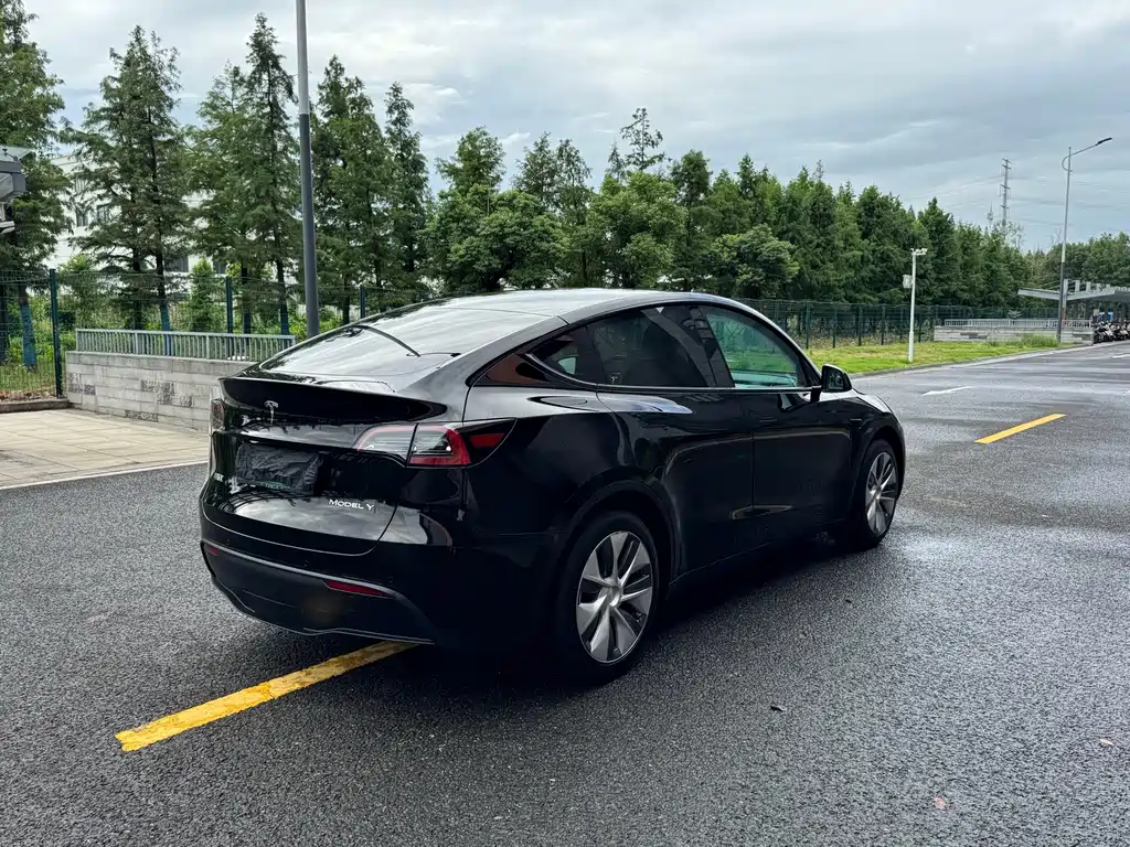 Tesla Model Y — миниатюра 19