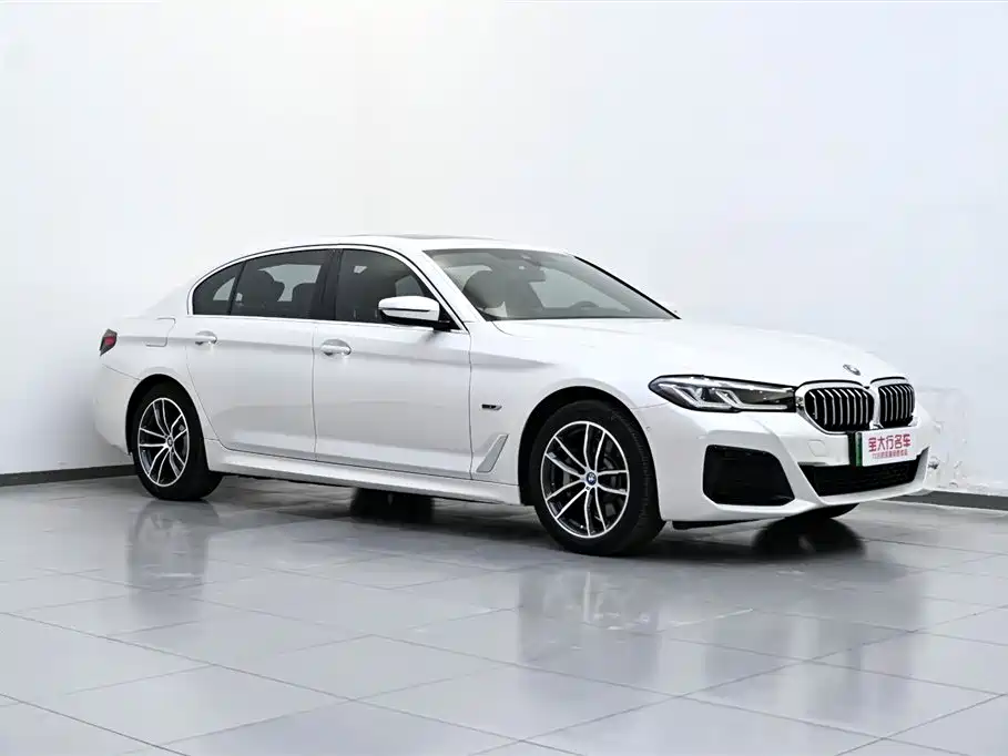 BMW 5 SERIES NEW ENERGY