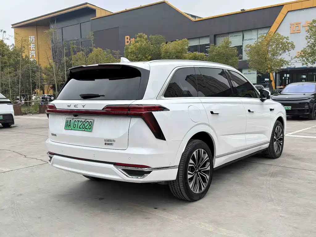 WEI PAI WEI BRAND BLUE MOUNTAIN