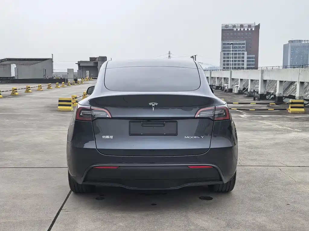 Tesla Model Y — миниатюра 5