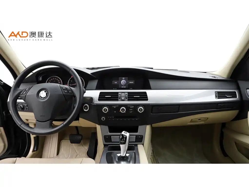 BMW 5 Series 5 2009 520Li Lead