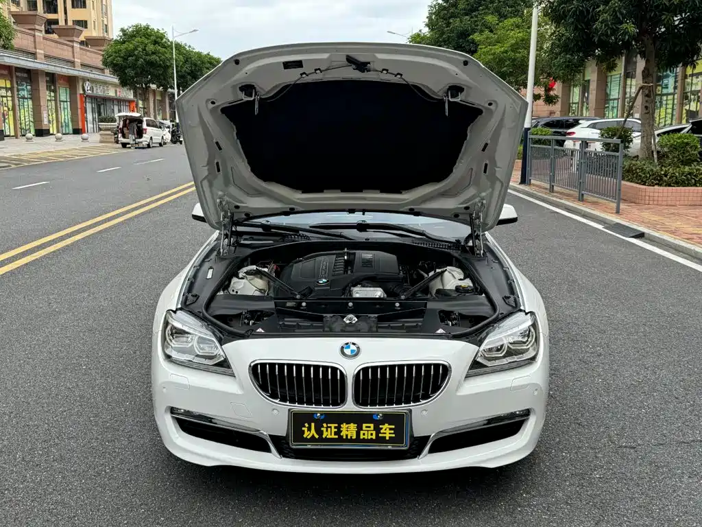 BMW 6 Series — миниатюра 5