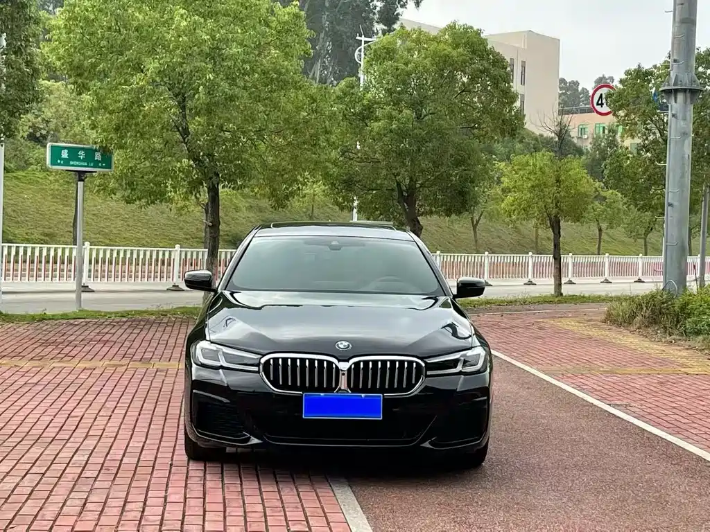 BMW 5 SERIES