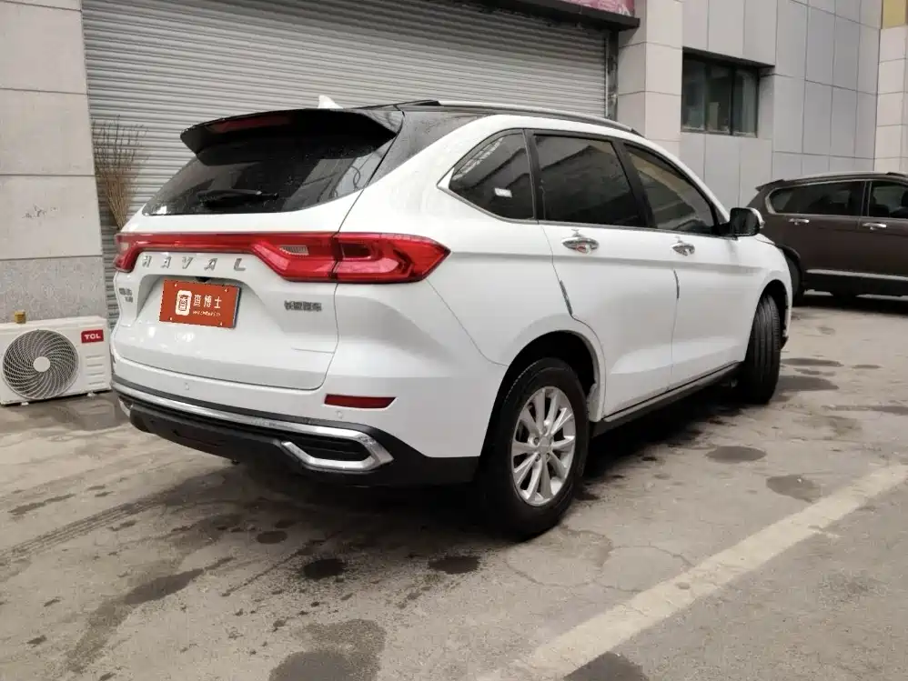 HAVAL M6