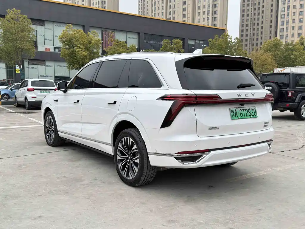 WEI PAI WEI BRAND BLUE MOUNTAIN