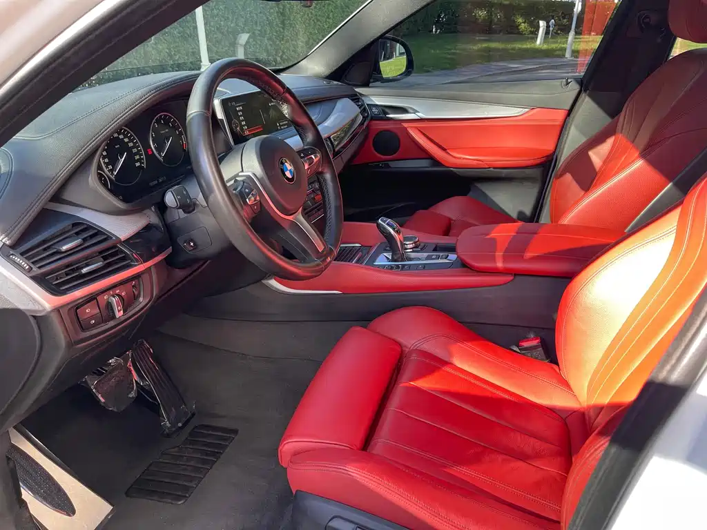 BMW X6 — миниатюра 15