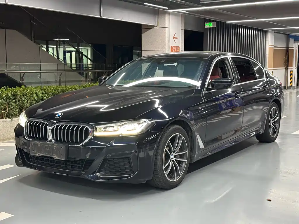 BMW 5 Series New Energy