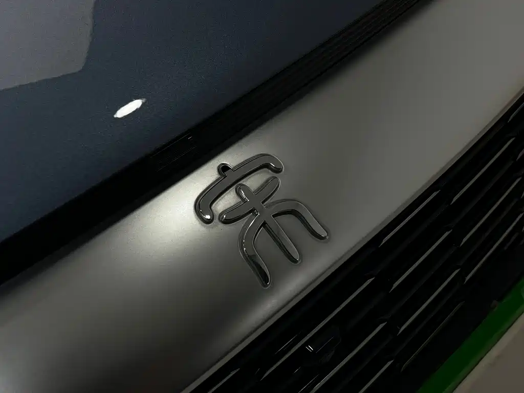 BYD SONGJIANG NEW ENERGY