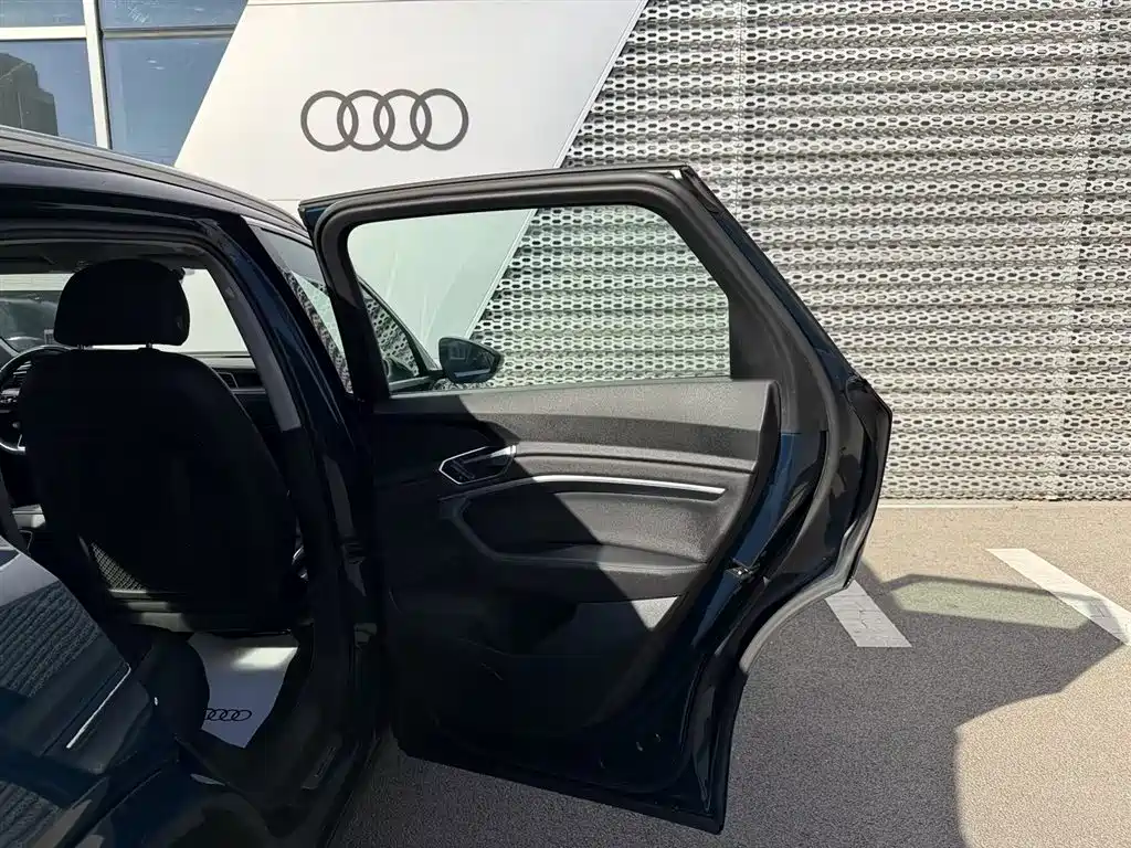 Audi e-tron (Import) — миниатюра 18