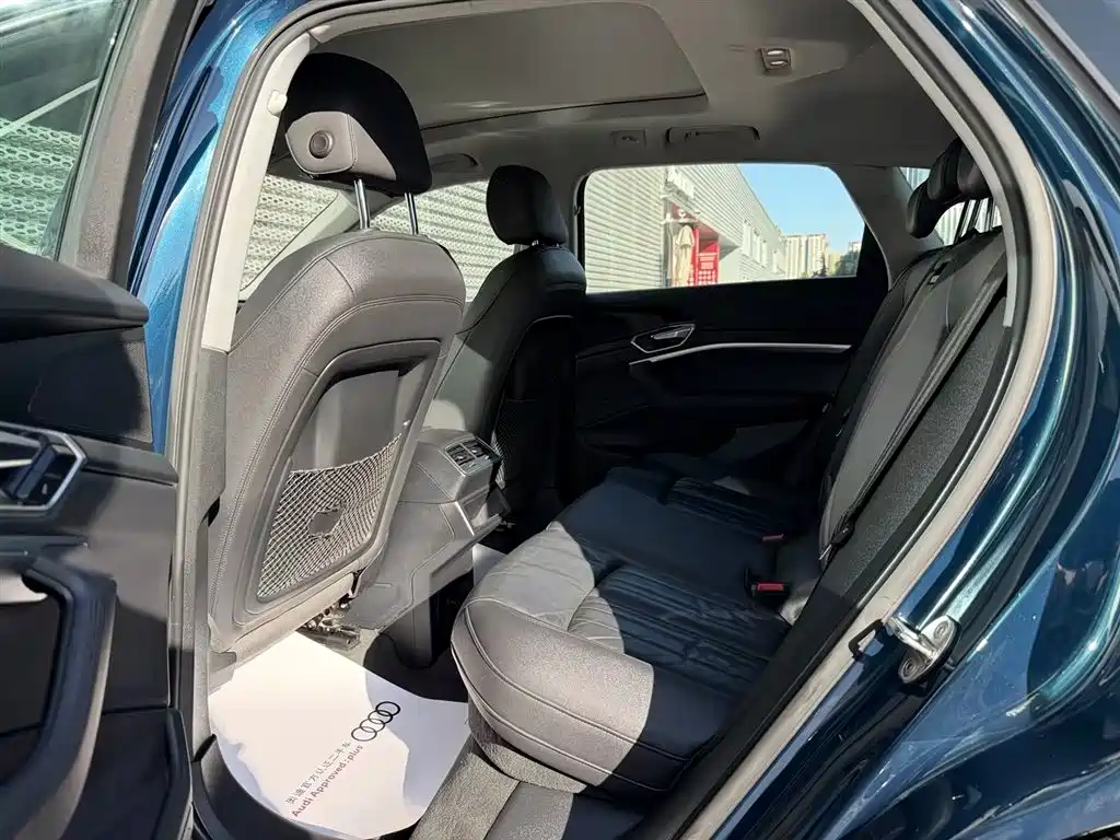 Audi e-tron (Import) — миниатюра 16