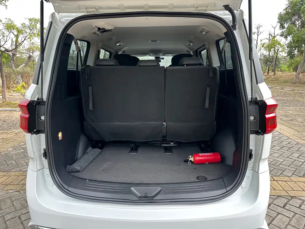 SAIC MAXUS CHASE G20